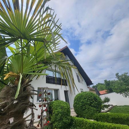 Vila Jovana Vrdnik Extérieur photo