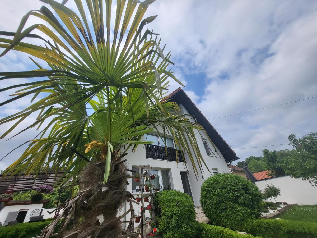 Vila Jovana Vrdnik Extérieur photo