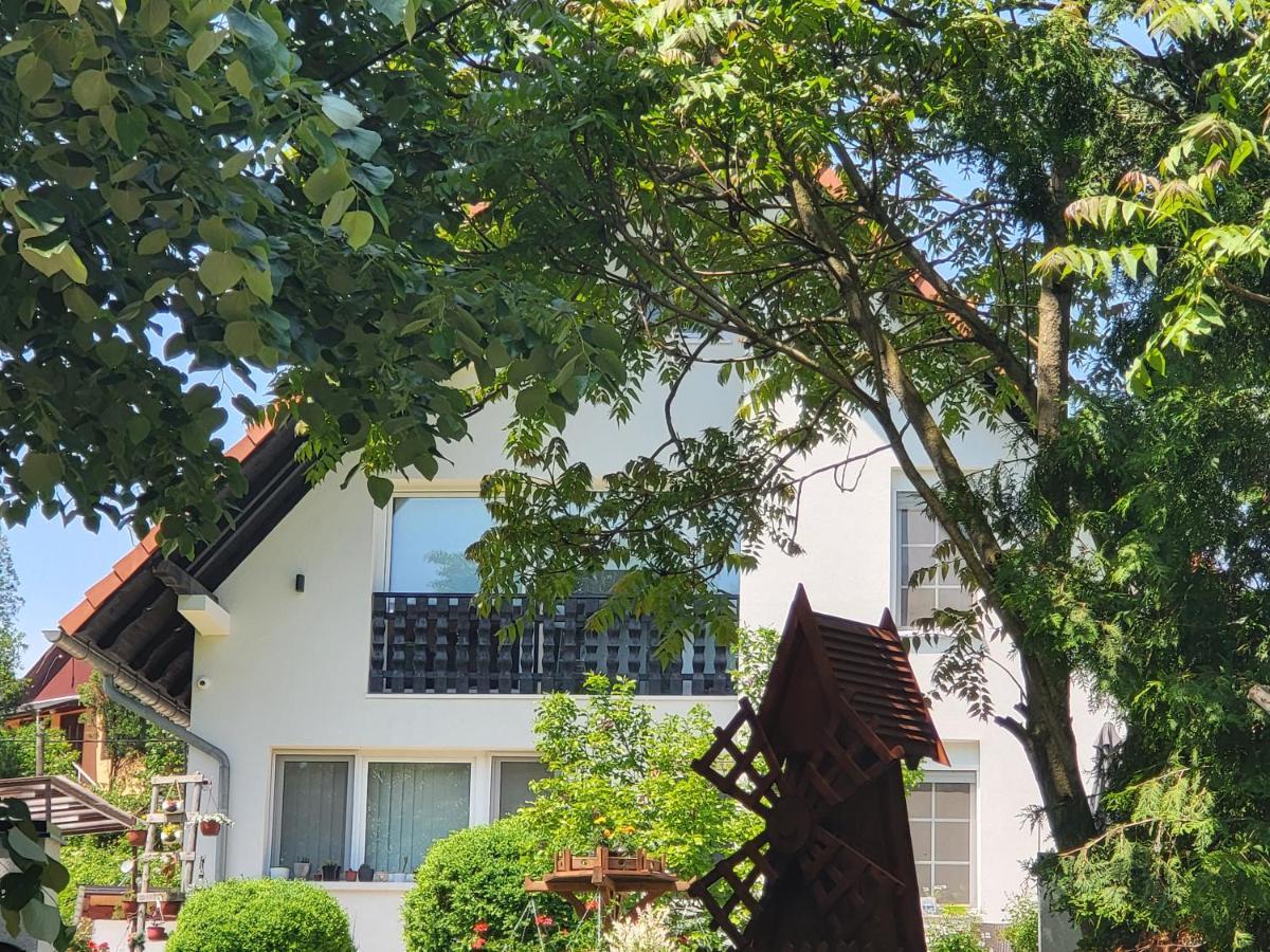Vila Jovana Vrdnik Extérieur photo