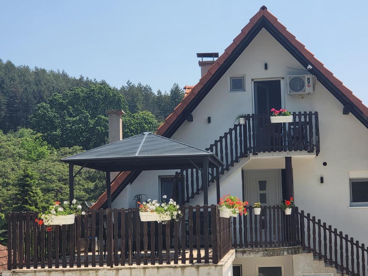 Vila Jovana Vrdnik Extérieur photo