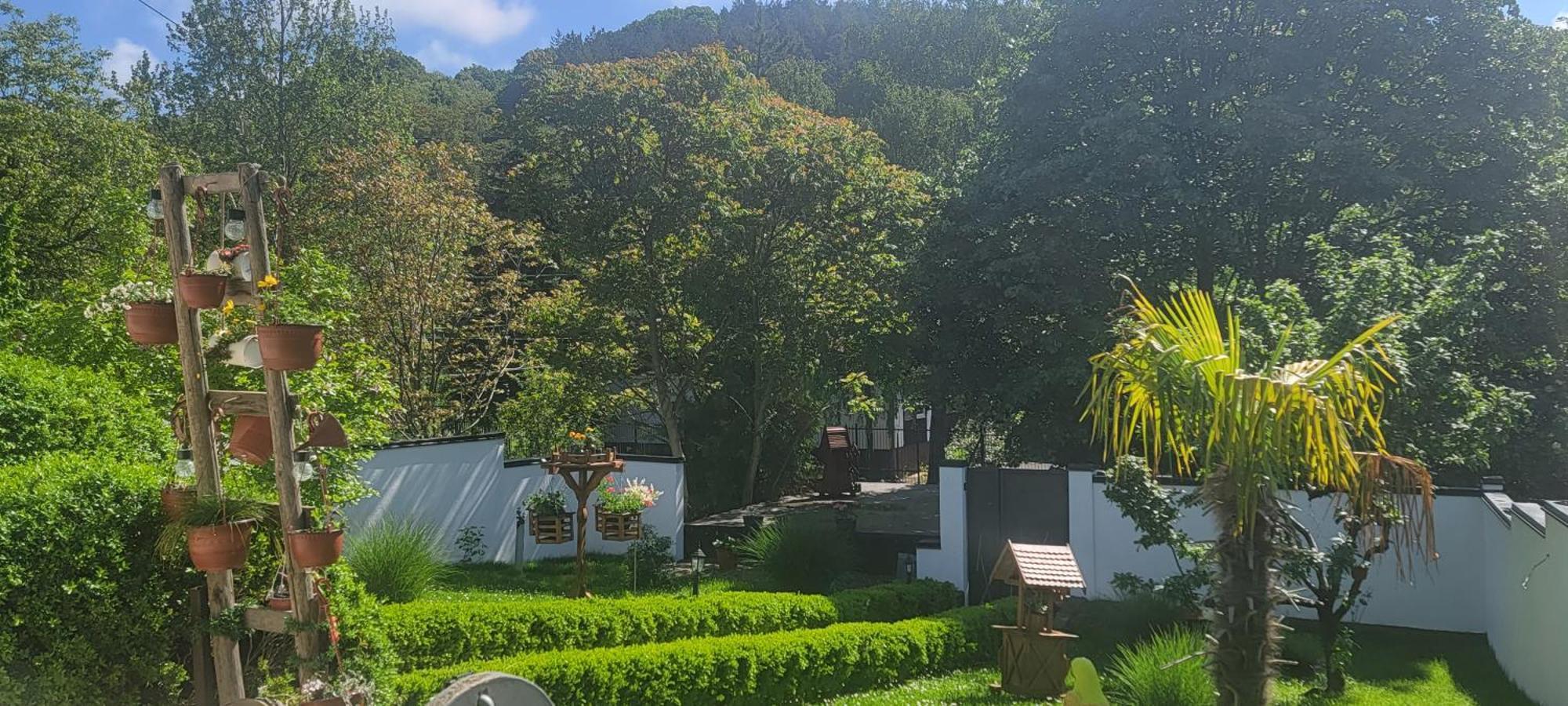Vila Jovana Vrdnik Extérieur photo