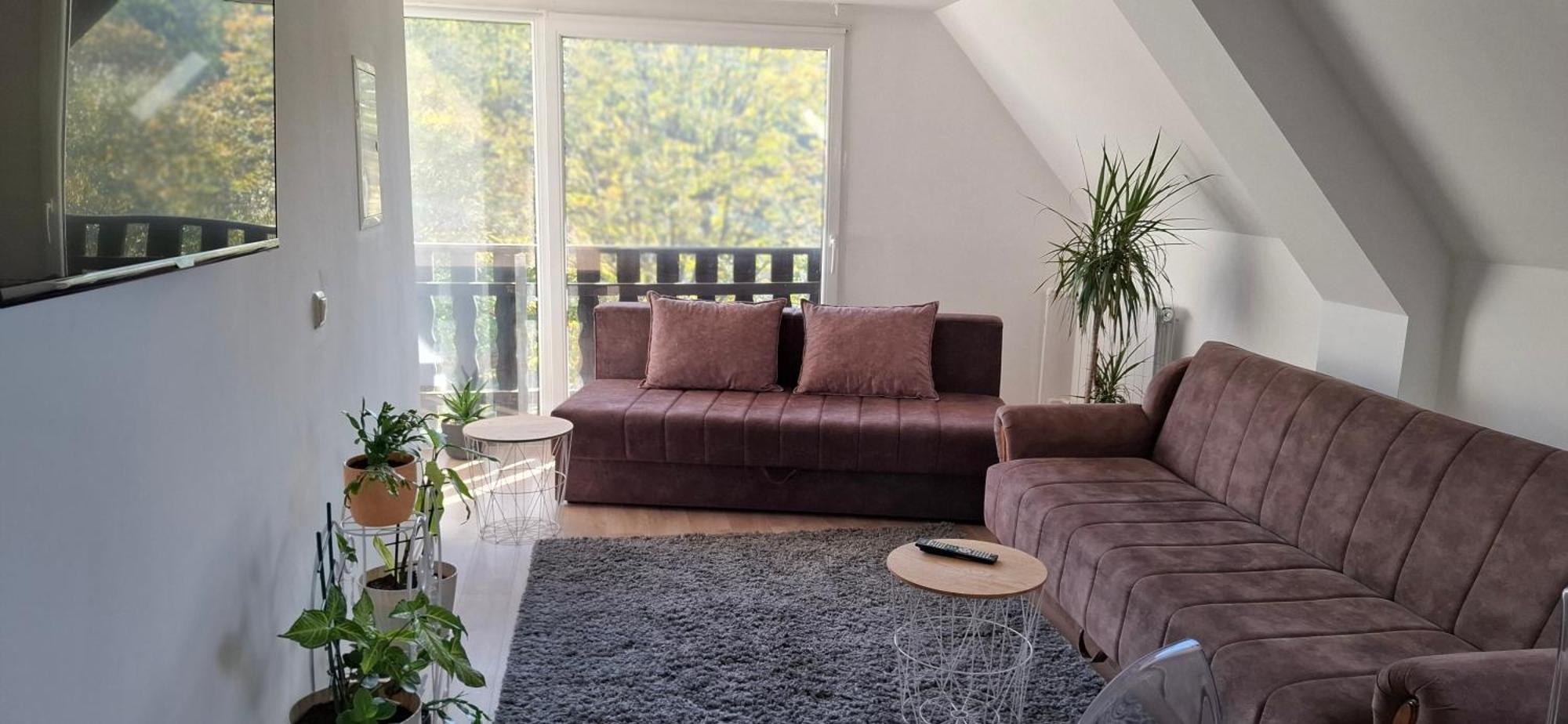 Vila Jovana Vrdnik Extérieur photo