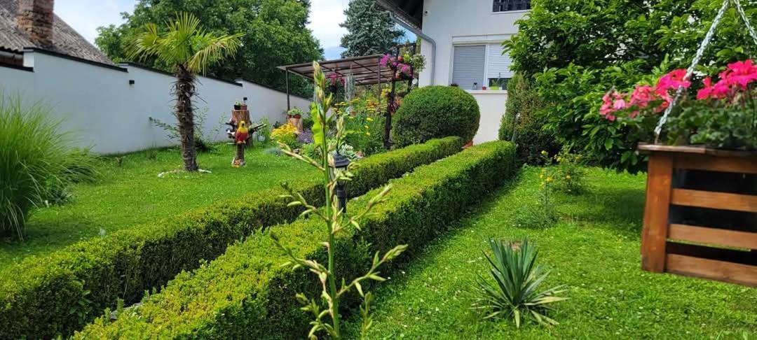 Vila Jovana Vrdnik Extérieur photo