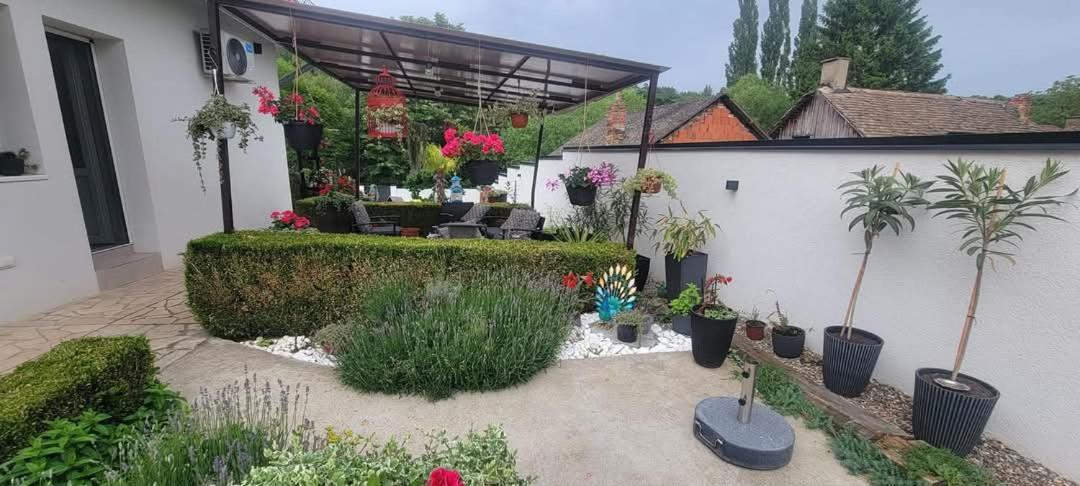 Vila Jovana Vrdnik Extérieur photo